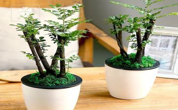 绿化工年度工作总结优秀5篇