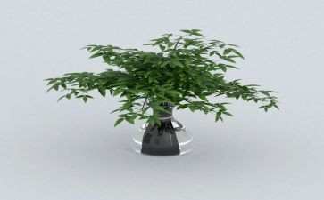 园比绿化养护工作总结8篇