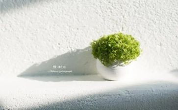 慢生活话题作文最新6篇