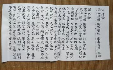 氓的心得体会优秀5篇