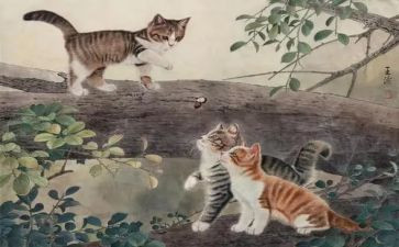 关于猫的读后感优秀8篇