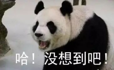 没想到的作文优质6篇