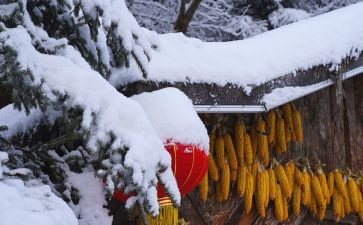 冰雪冬奥作文精选6篇