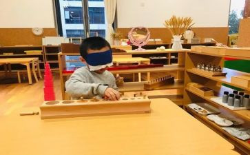 蒙氏教师工作述职报告5篇