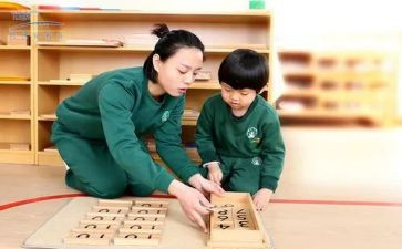 幼儿蒙氏教师工作心得6篇