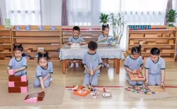 蒙氏教师上学期个人总结参考5篇