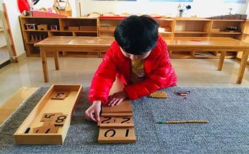 幼儿园蒙氏活动总结参考7篇