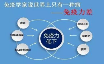 规划免疫的工作计划7篇