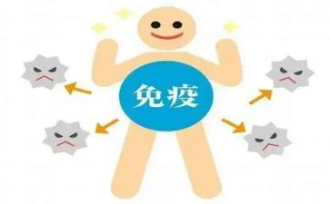 免疫规划月工作计划5篇