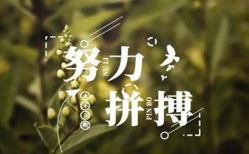 关于名人的作文精选6篇