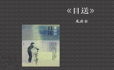 目送读后感作文8篇