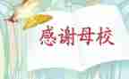 回母校当老师演讲稿7篇