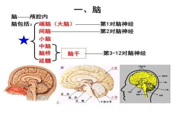 电脑作文300字6篇