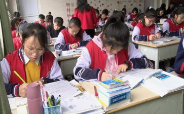 2024小学一年级语文老师工作总结优秀7篇