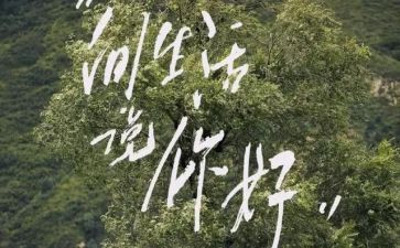 你好对作文模板5篇