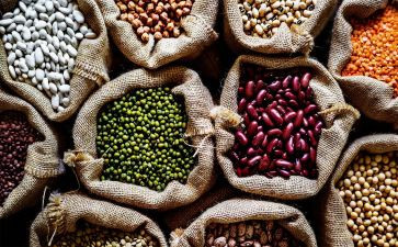 农产品质量工作总结5篇