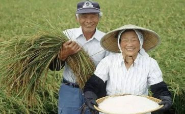 农民房出租合同5篇