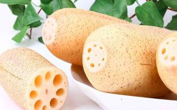 成熟藕作文推荐7篇