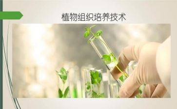 青年教师受培养工作总结优质8篇