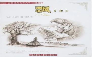 飘的读后感100字优质7篇