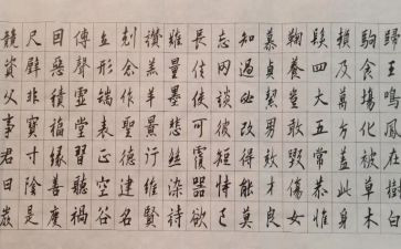 千字文的心得8篇
