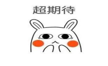 我期待作文优秀5篇