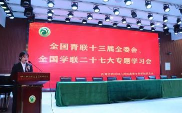 全国青联十三届的心得体会6篇