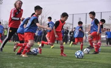 教师青训工作计划8篇