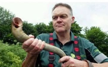 俗世奇人里的读后感精选5篇