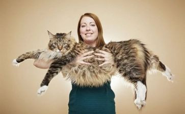 俗世奇人里的读后感模板6篇