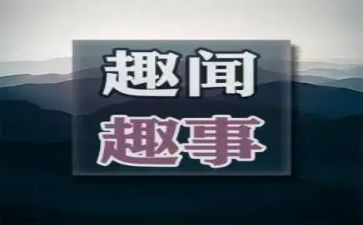 写假期趣事的作文模板8篇