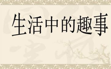 写假期趣事的作文6篇