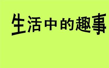 我家的有趣事作文5篇