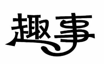 十一趣事作文6篇