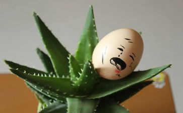 趣味小活动方案7篇