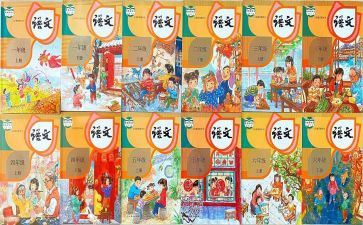 初中体育个人教学总结8篇