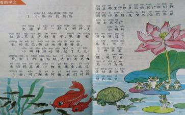 2024年个人教师年终工作总结最新6篇