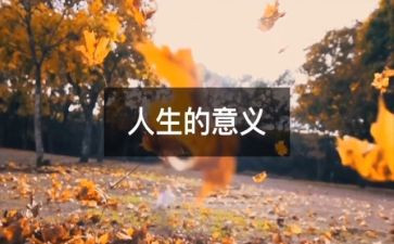 人生感悟作文300字5篇