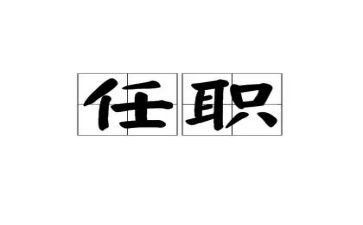 教师任职以来的工作总结7篇