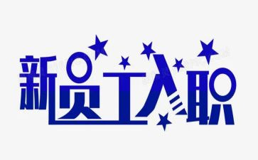 新入职年终总结优质5篇