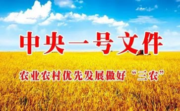 三农工作讲话稿8篇