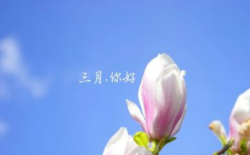 小小班三月工作总结5篇