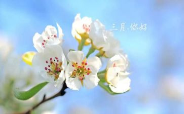 三月简短工作总结5篇