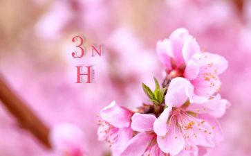 三月植树活动总结6篇