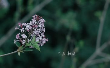 三月雷锋活动总结7篇