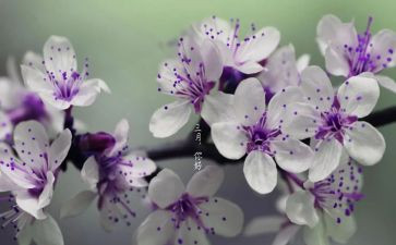 入党每三月思想汇报5篇