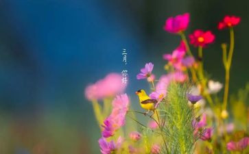 第三月工作总结优秀5篇