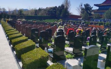 去扫墓心得体会优质5篇