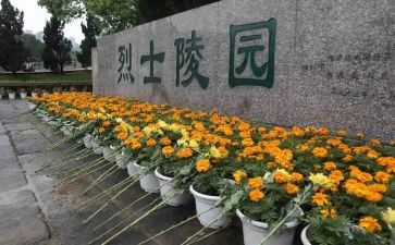 学校扫墓活动方案最新5篇