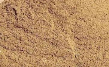 有关沙的幼儿园教案最新6篇